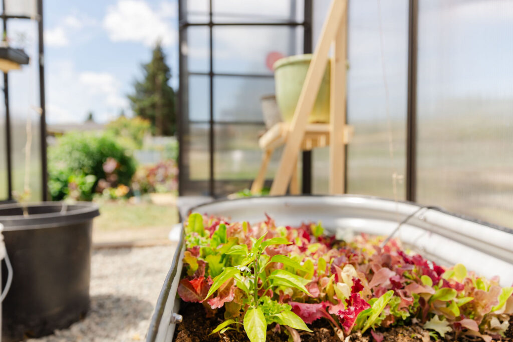 Work Party @ the Public Produce Garden