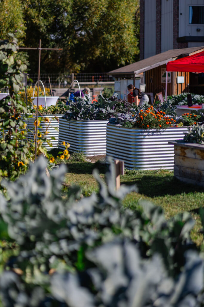 Work Party @ the Public Produce Garden